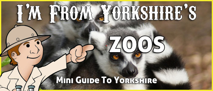Zoos in Yorkshire - Guide