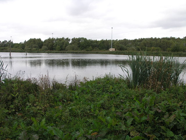 With fifteen hides a full day's birdwatching is guaranteed at Potteric Carr near Doncaster. Picture Credit Michael Patterson wikipedia Creative commons.