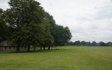 19th August The Stray g Mike Pennington cc-featured-image