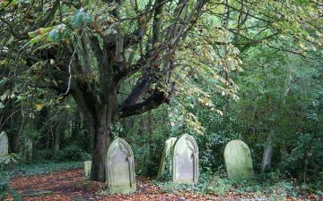 barnsley Islington_St_Pancras_Cemetery-featured-image